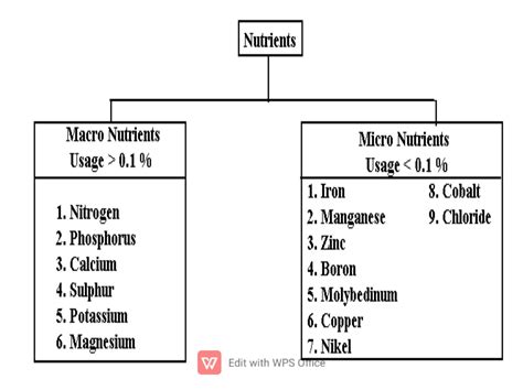 Solution Micronutrients And Macronutrients In Plants Studypool