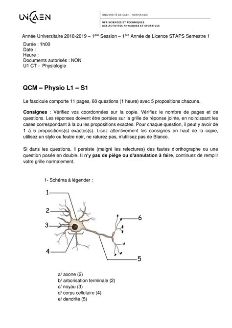 staps L1 physiologie U N I V E R S I TÉ D E C A E N N O R M A N DI