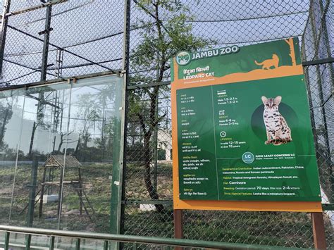 Jambu Zoo Jammu Ticket Price Timings And Photos