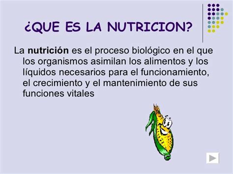 ¿que Es La Nutricion La Nutrición Es El Proceso Biológico En El Que Los Organismos Asimilan Los