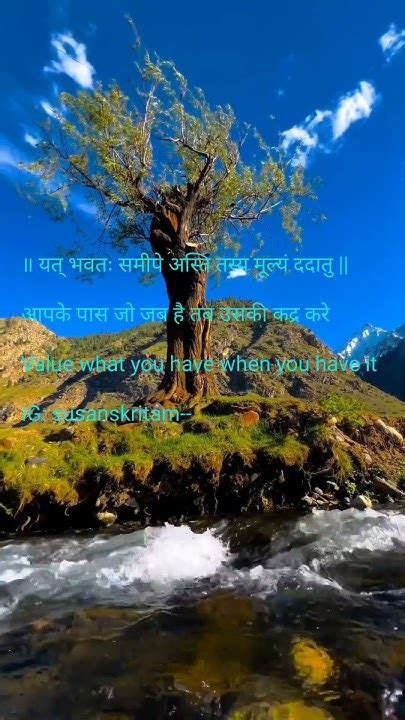 🍁🍁आपके पास जो जब है तब उसकी कद्र करे🍁🍁 Shorts Quotes Youtube