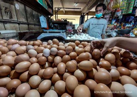 Begini Cara Sederhana Memilih Telur Yang Baik Dan Berkualitas