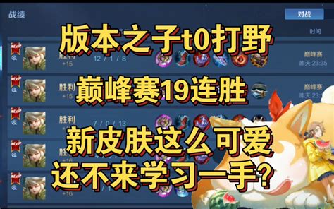 国服阿古朵教你，玩转现版本之子t0打野阿古朵，排位巅峰轻松上分 哔哩哔哩