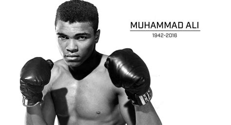 10 Extraordinary Life Lessons from Muhammad Ali | Evolve Daily