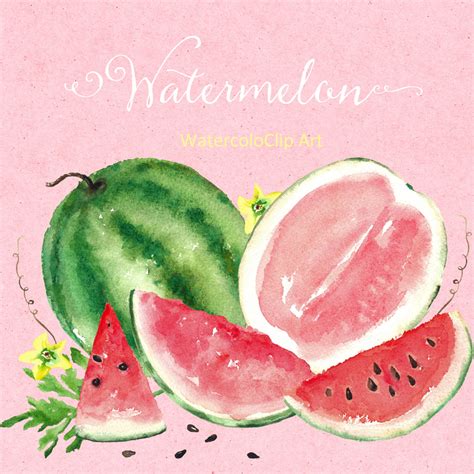 Watermelon Watercolor Clipart Digital Clipart Hand Drawn Set