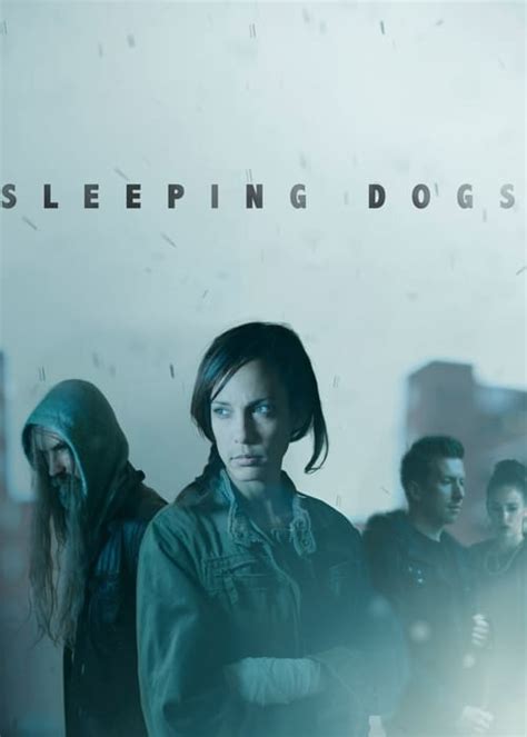 Sleeping Dogs (2013) — The Movie Database (TMDB)