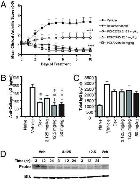 Btk Inhibition By Pci Inhibits Collagen Induced Arthritis In