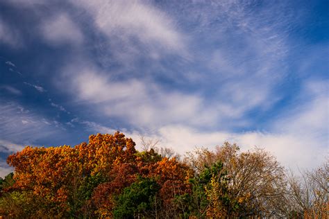 Incredible fall colors in Toronto : r/ontario