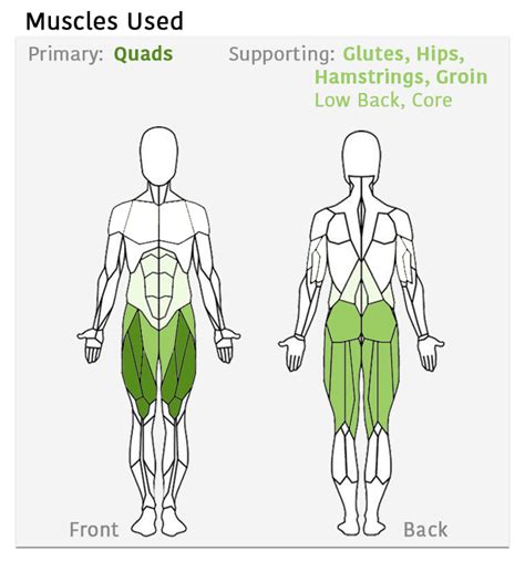 Squats Muscles Targeted