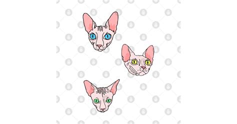 Sphynx Cat Black And White Stripes Naked Cat Sphinx T Shirt