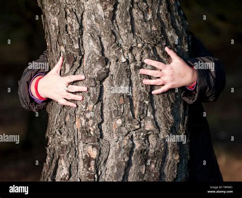 Manos Abrazando Un Rbol Fotograf As E Im Genes De Alta Resoluci N Alamy