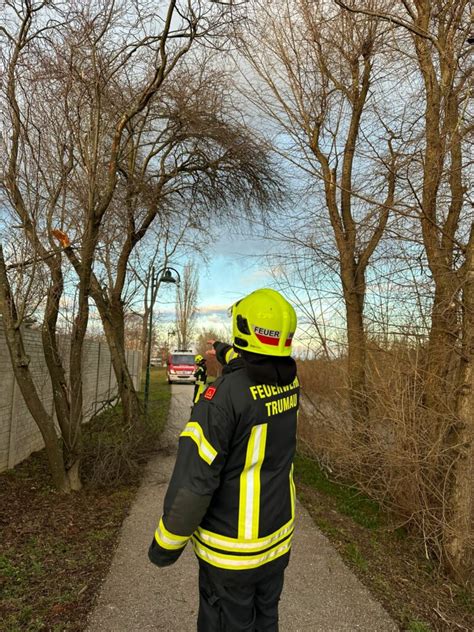 Sturmschaden Sicherungsarbeiten Freiwillige Feuerwehr Trumau