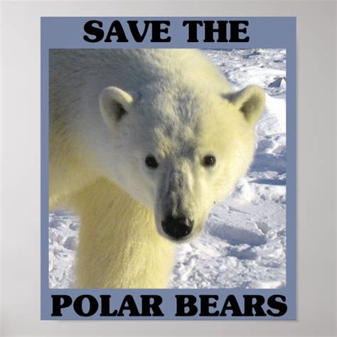 Save The Polar Bears Poster Zazzle Ca