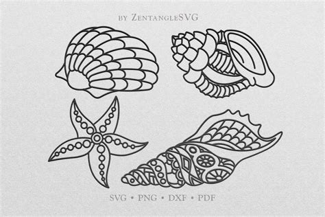 Shell Svg Bundle Seashell Svg Sea Shell Svg Cricut Etsy