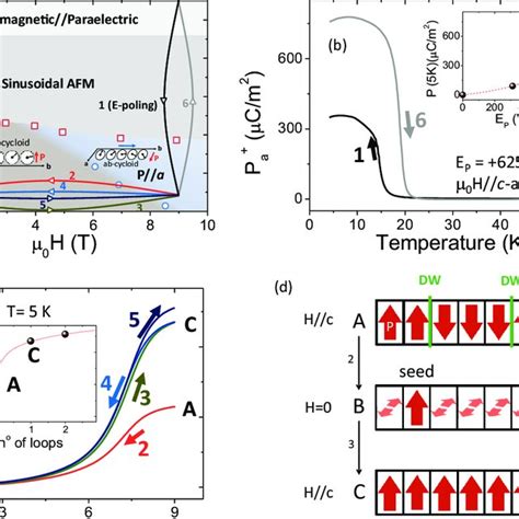 Color Online A Multiferroic Phase Diagram Of YSm Adapted From Ref