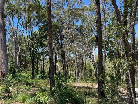 Timothy Street Macleay Island Qld Domain