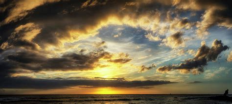 Pine Trees Sunset Photograph by Christopher Johnson | Fine Art America