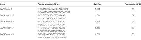 Table 1 From Mutation Of Twnk Gene Is One Of The Reasons Of Runting And