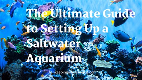 The Ultimate Guide To Setting Up A Saltwater Aquarium