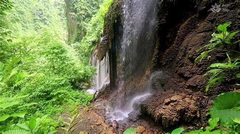 Hour Of Soothing Waterfall Sounds In Tropical Rainforest Nature