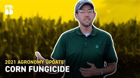 Corn Fungicide Beck S Agronomy Updates Youtube