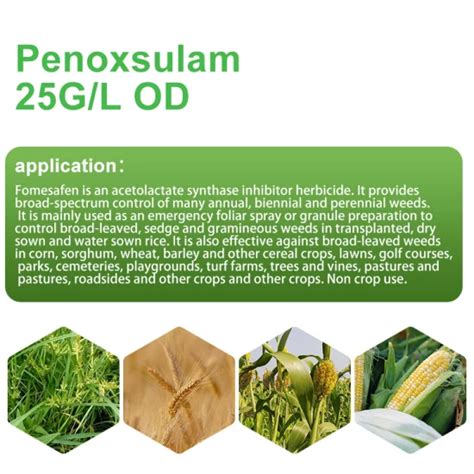 Penoxsulam 25 Gl Od Rice Transplant Barnyardgrass Annual Grass Systemic Herbicides