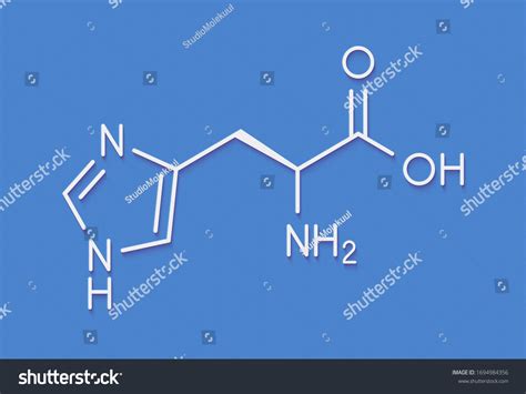 Histidine Lhistidine His H Amino Acid Stock Illustration 1694984356