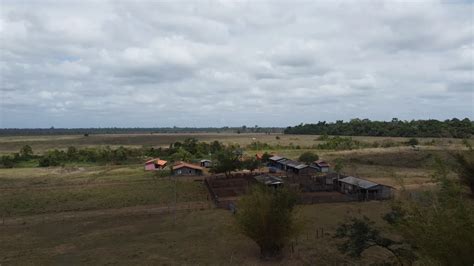 Fazenda S Tio Na Rea Rural Sn Area Rural De Paragominas Em