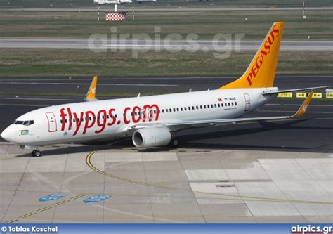 Airpics Net TC AAE Boeing 737 800 Pegasus Airlines Medium Size