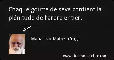 Citation Maharishi Mahesh Yogi Arbre Chaque Goutte De S Ve Contient