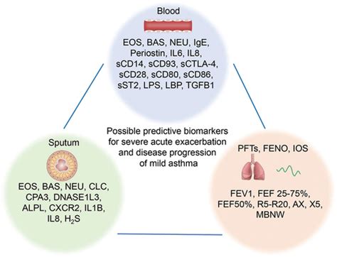 Full Article Mild Asthma Is Not Mild Risk Factors And Predictive