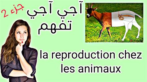 La Reproduction Chez Les Animaux 2ac جزء الثاني Youtube