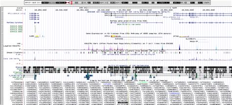 Genome Wide Association Studies In R Poissonisfish