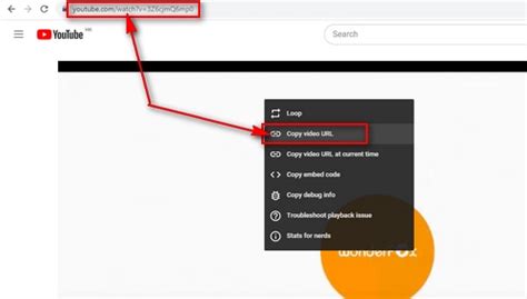 keepvid alternative