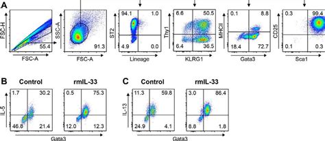 Analysis Of ILC2s By Flow Cytometry After HGD With McIL 25 And McIL 33