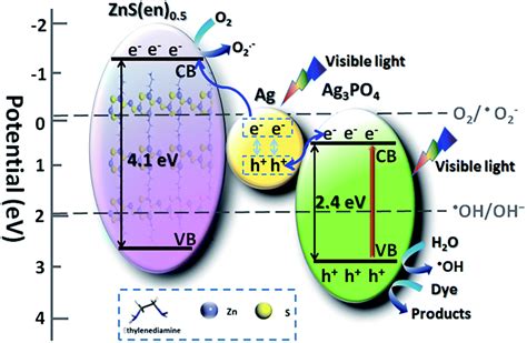 Highly Efficient Photocatalytic Activity Of Ag 3 Po 4 Agznsen 05