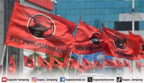 Kupas Tuntas PDI Perjuangan Lampung Raih 114 Kursi DPR RI DPRD