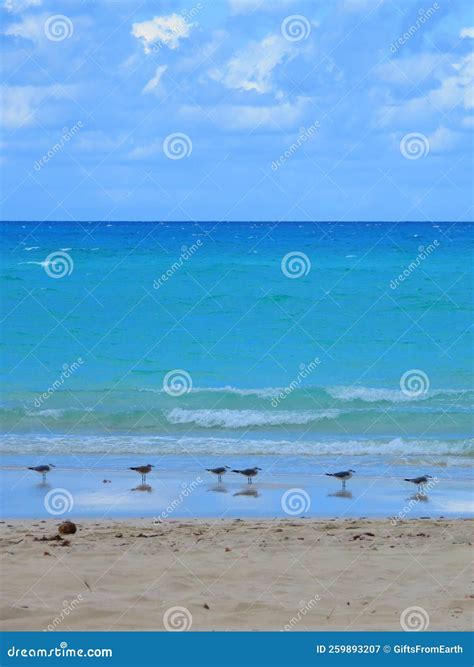 Sea View in Varadero Beach, Cuba! 2022! Stock Image - Image of national