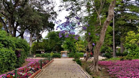 San Anton Gardens In Malta A Hidden Gem Your Sunday Guide