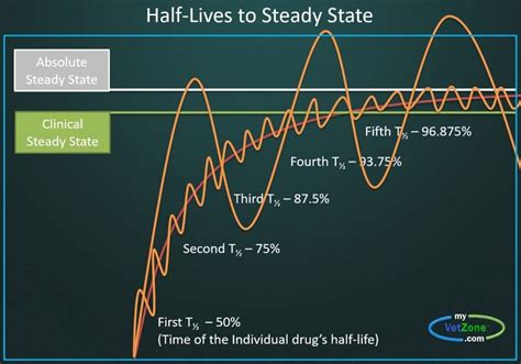 Half Life Of Drugs Chart Best Picture Of Chart Anyimage Org