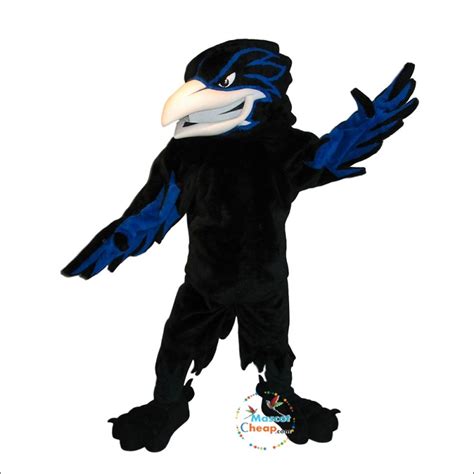 Handsome Ferocious Raven Mascot Costume