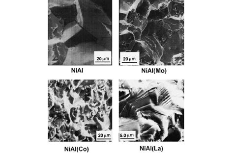 Sem Image Of Intergranular Fracture Of Nial Intermetallic A