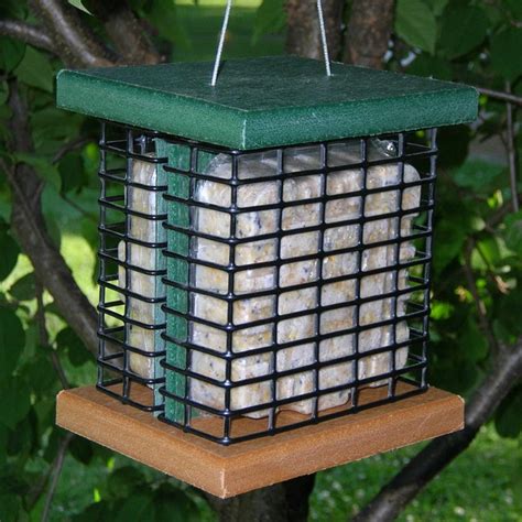 Recycled Poly Double Suet Feeder - Modern - Bird Feeders - by ...