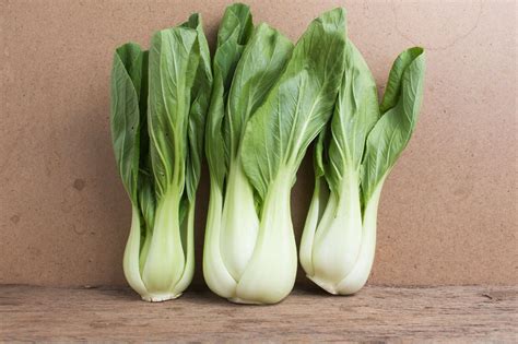 Chinese White Stem Pak Choi Bok Choy Chinese Cabbage Seeds Non Gmo