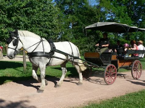 Dompierre Sur Besbre Le R Tro Mobile Club Dompierrois Au Parc De La