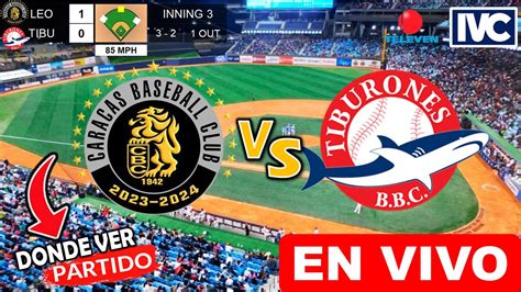 Leones Vs Tiburones En Vivo Donde Ver Y A Que Hora Juega Caracas Vs La