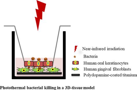 Eradicating Infecting Bacteria While Maintaining Tissue Integration On