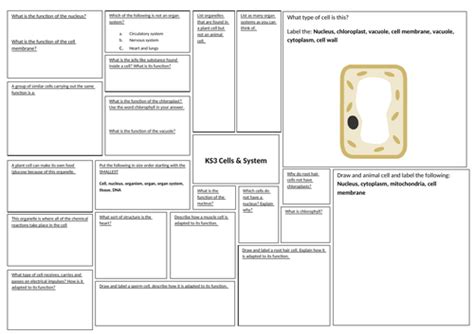 Ks3 Year 7 Revision Mats Science Teaching Resources