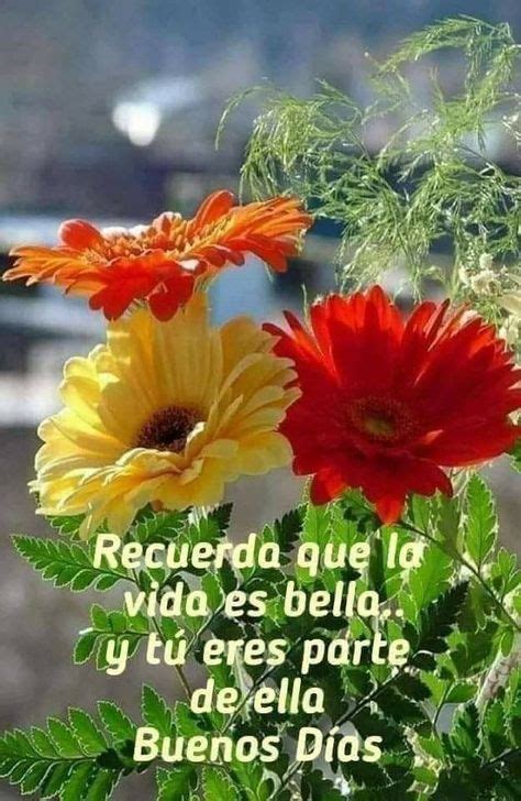 400+ mejores imágenes de Buenos dias con rosas en 2020 | buenos dias ...