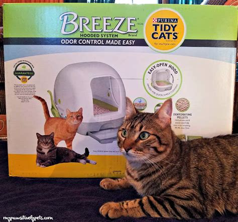 Tidy Cats Breeze Cat Litter Box System for Easy Cat Care #ChewyInfluencer | Pawsitively Pets